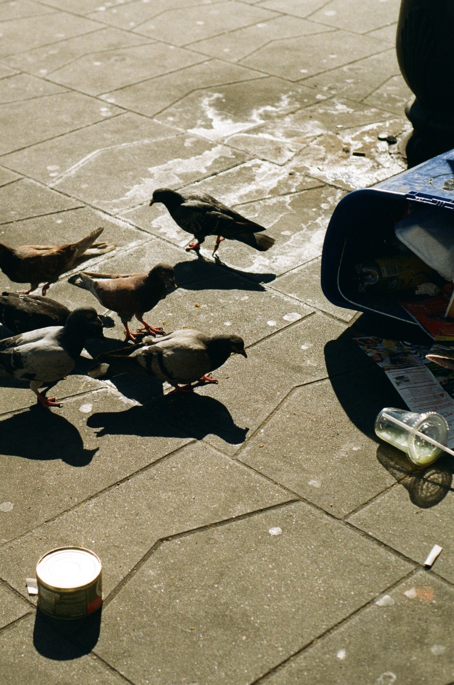 The Uninvited Guests